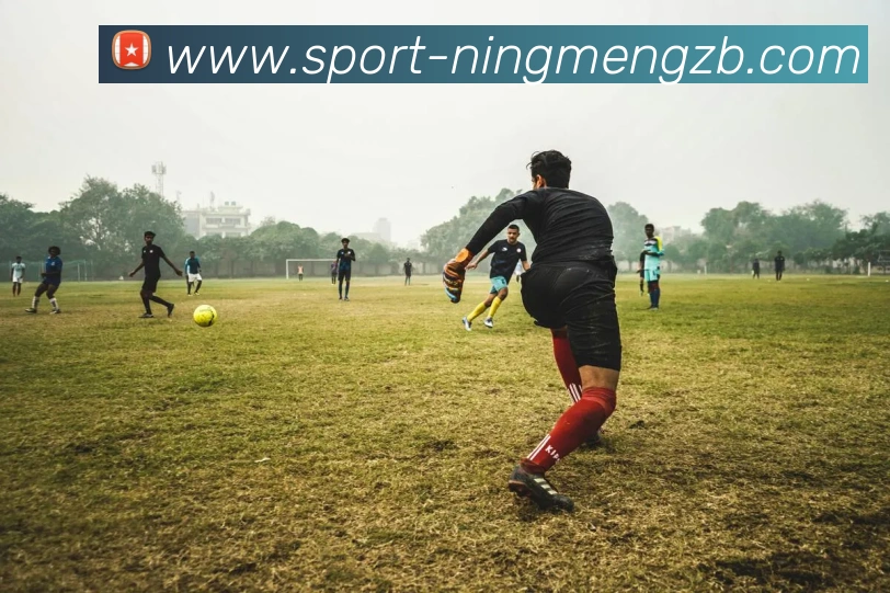 柠檬直播发展历程